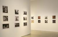 Photo of Edward Woodman’s work at John Hansard Gallery, Southampton