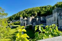 Gwrych Castle with foliage in the foreground