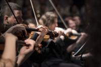 Violinists playing