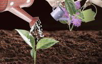 graphic of watering can watering a plant