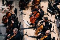 String section of the Scottish Chamber Orchestra