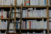 Shelves in a bookshop with a ladder