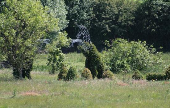 Photo of art in rural England