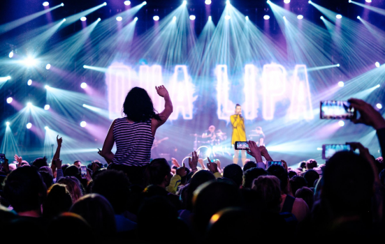 an audience watches a gig