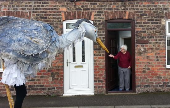 Image of heron in street