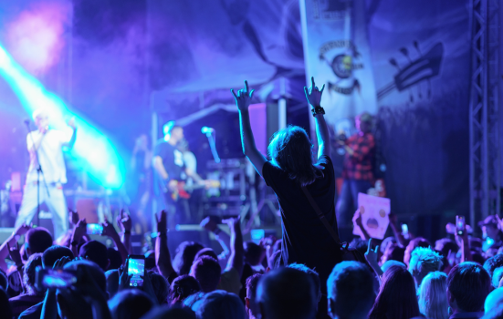 Crowd at a rock concert