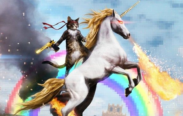 Photo of a cat riding a unicorn