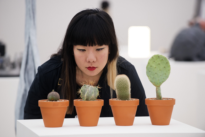 Photo of someone looking at a cactus