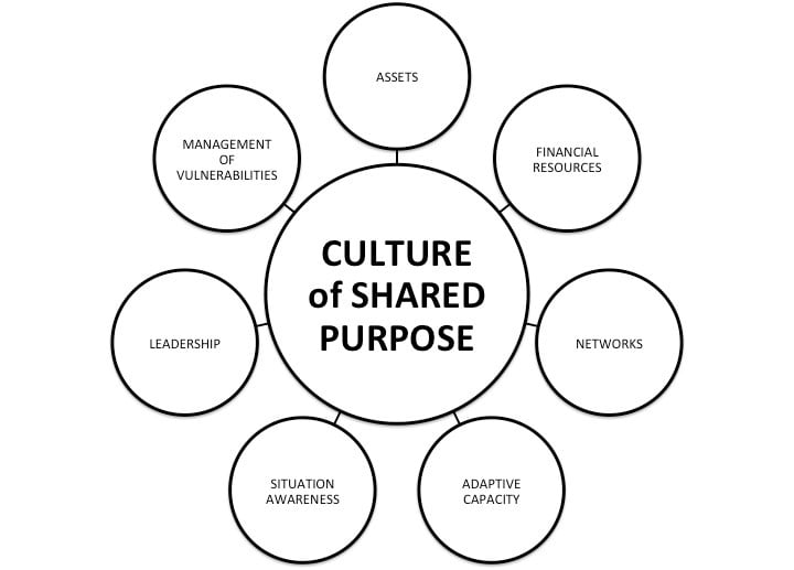 graphic showing culture of shared purpose