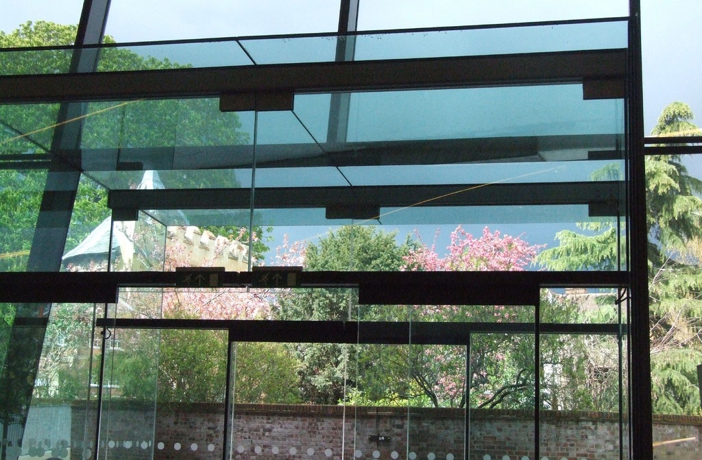 A view of trees through a glass window