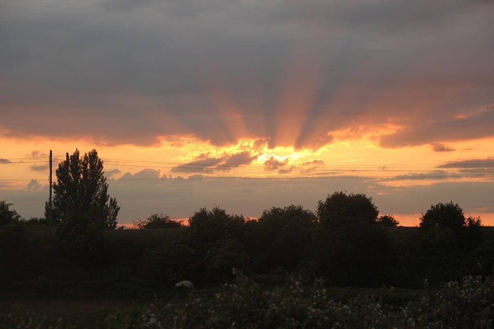 Waltham Forest embraces urban nature for culture year