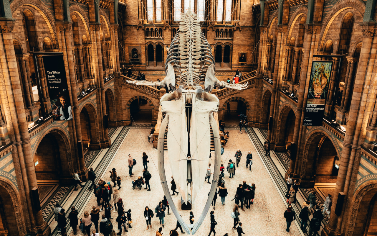 inside of Natural History Museum