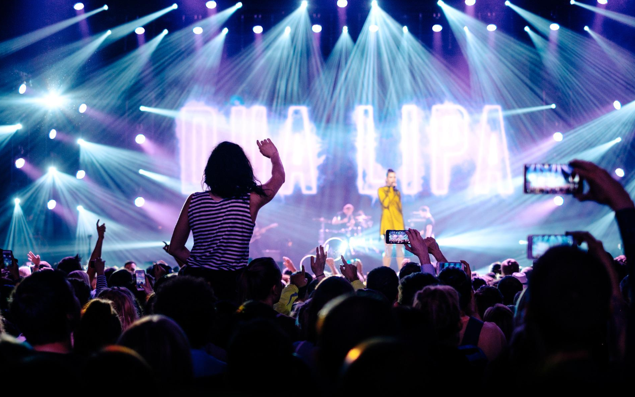 an audience watches a gig