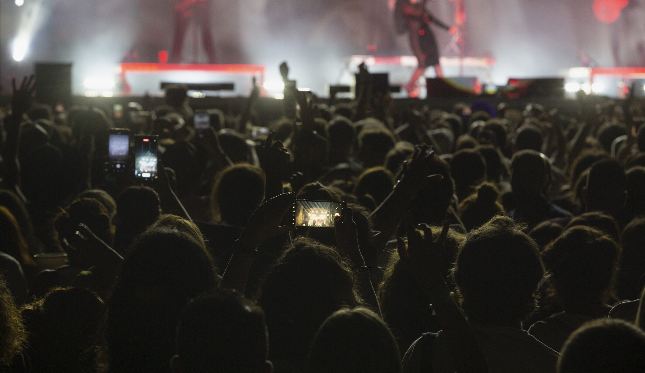 An audiences watches a musician at a live music concert.