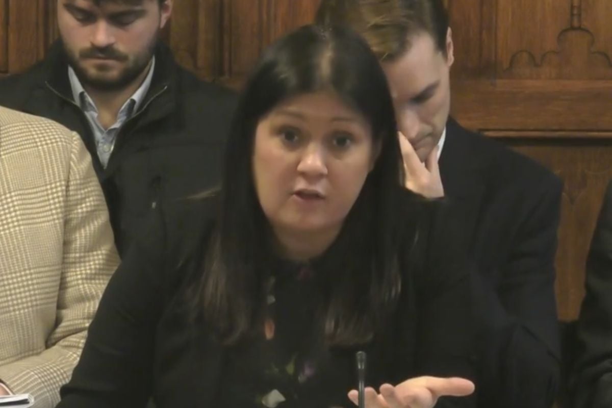 Culture Secretary Lisa Nandy speaking at a CMS committee meeting on 10 December 2024